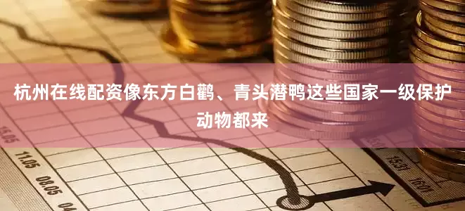 杭州在线配资像东方白鹳、青头潜鸭这些国家一级保护动物都来