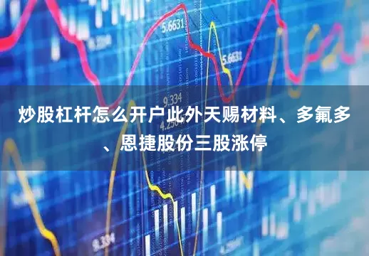 炒股杠杆怎么开户此外天赐材料、多氟多、恩捷股份三股涨停