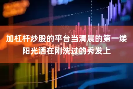 加杠杆炒股的平台当清晨的第一缕阳光洒在刚洗过的秀发上